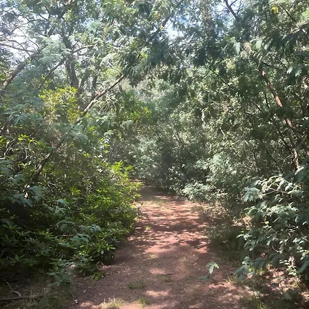 Ferienhaus Maison De Namaste *