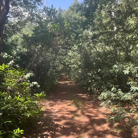 Maison De Namaste Ferienhaus Mérignac